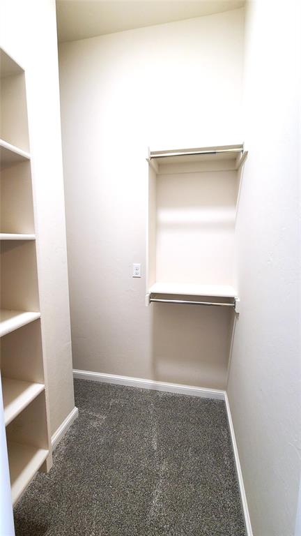 walk in closet with dark colored carpet