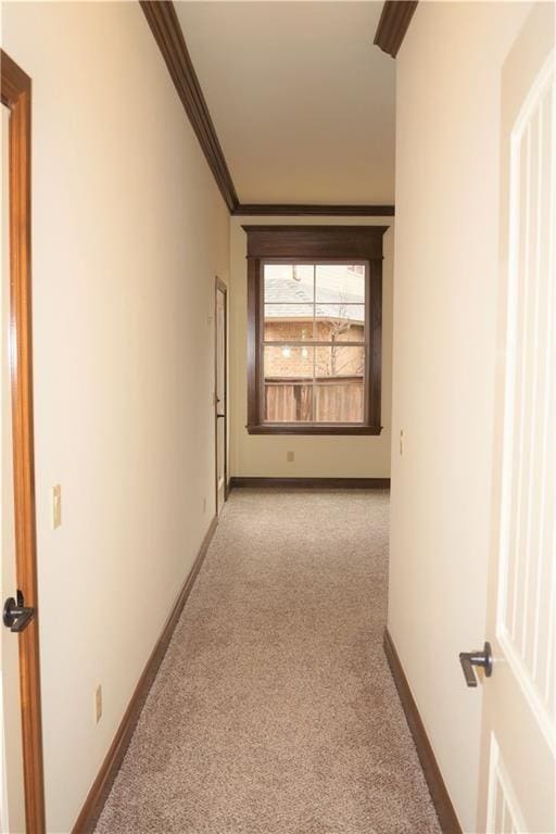 corridor featuring light colored carpet and crown molding