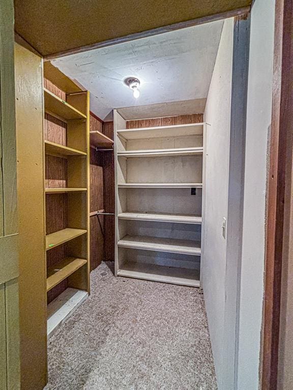 walk in closet with carpet