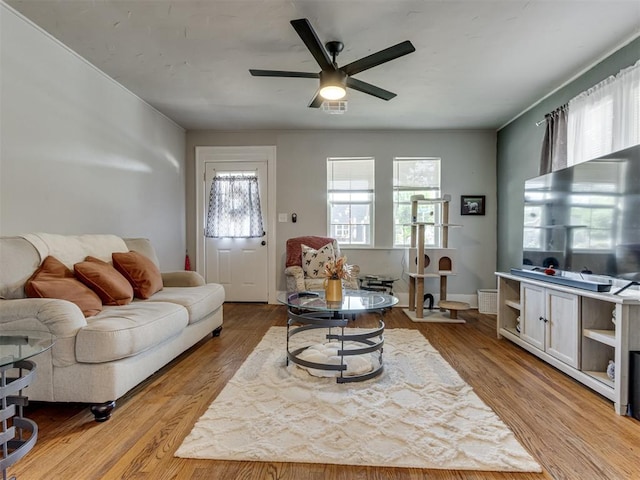 living room featuring ceiling fan and light hardwood / wood-style flooring