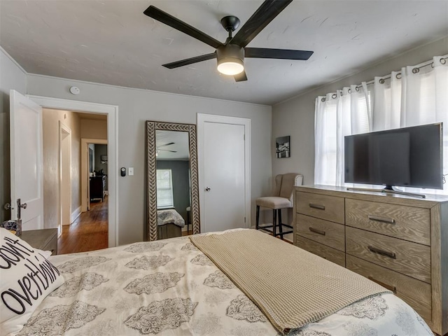 bedroom featuring ceiling fan and dark wood-type flooring