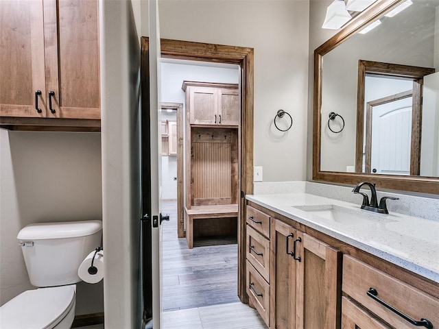 bathroom featuring hardwood / wood-style floors, vanity, and toilet