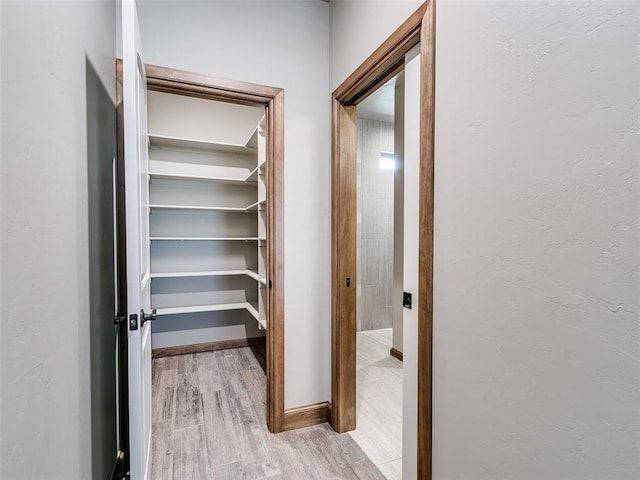 interior space with light hardwood / wood-style floors