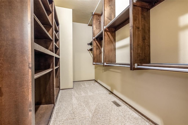 spacious closet with light colored carpet