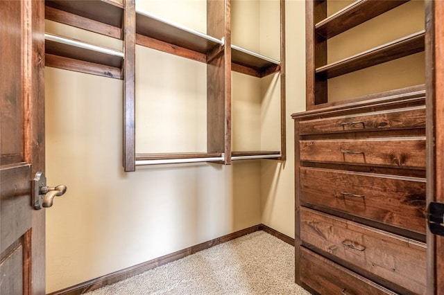 spacious closet with carpet floors