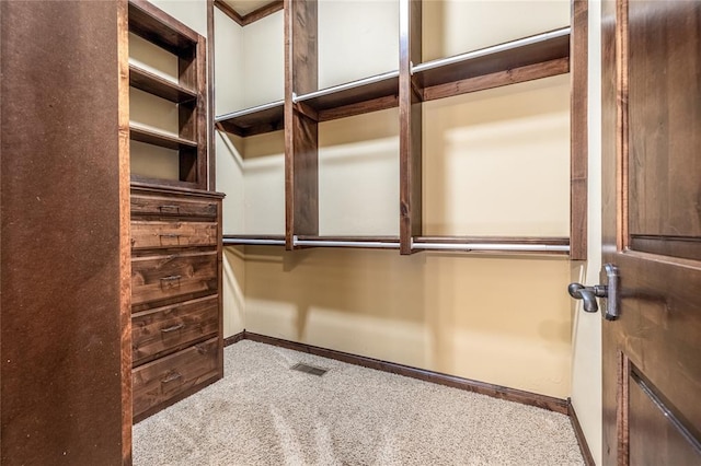 walk in closet with light colored carpet