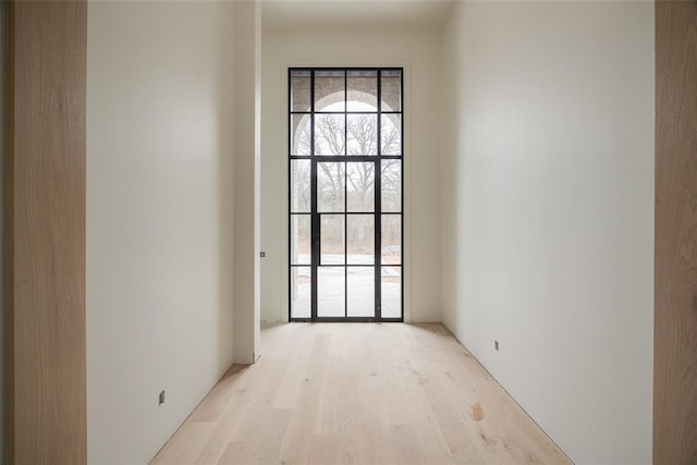 interior space featuring plenty of natural light and light wood-type flooring