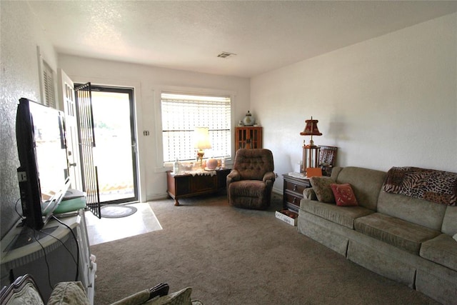 living room featuring carpet flooring and a textured ceiling