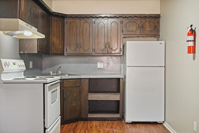 kitchen featuring dark brown cabinetry, sink, light hardwood / wood-style floors, and white appliances