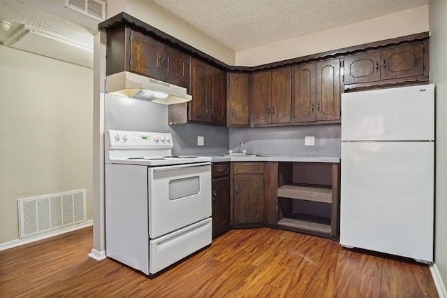 kitchen with light wood-type flooring, white appliances, a textured ceiling, and dark brown cabinetry