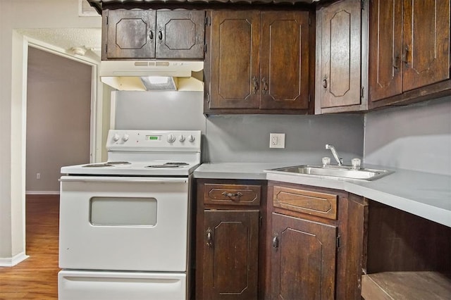 kitchen with dark brown cabinets, sink, wood-type flooring, and white electric stove