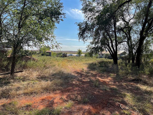 view of nature with a rural view