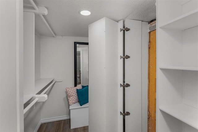 spacious closet with wood-type flooring