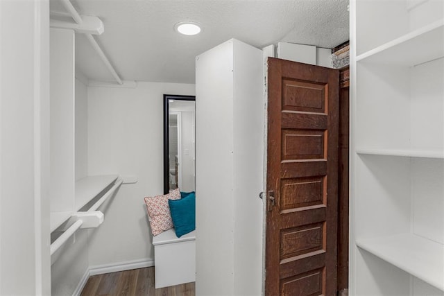 walk in closet featuring hardwood / wood-style floors