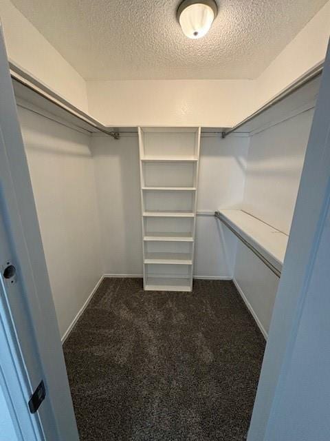 spacious closet with dark carpet