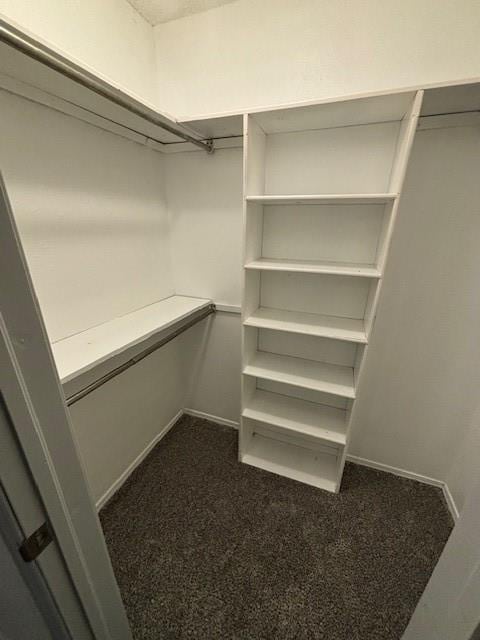 spacious closet with dark carpet