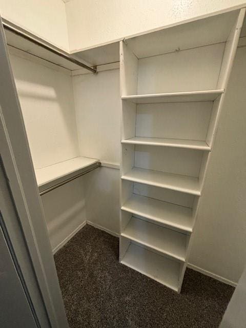 walk in closet featuring dark colored carpet