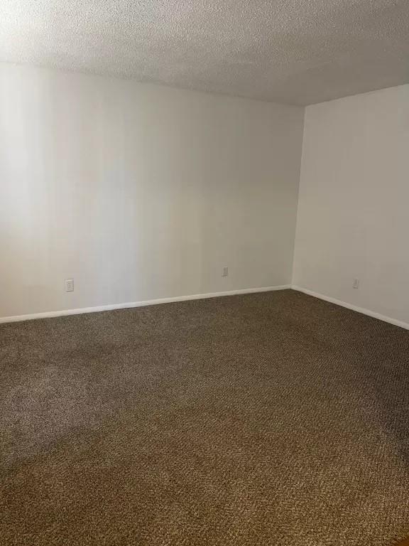 carpeted spare room featuring a textured ceiling