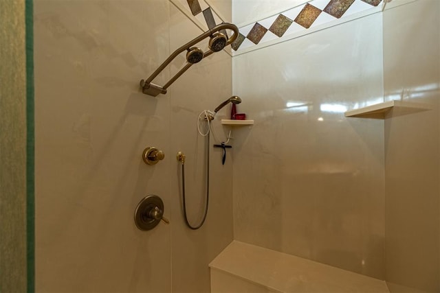 interior space with walk in shower