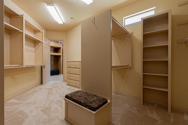 spacious closet featuring carpet