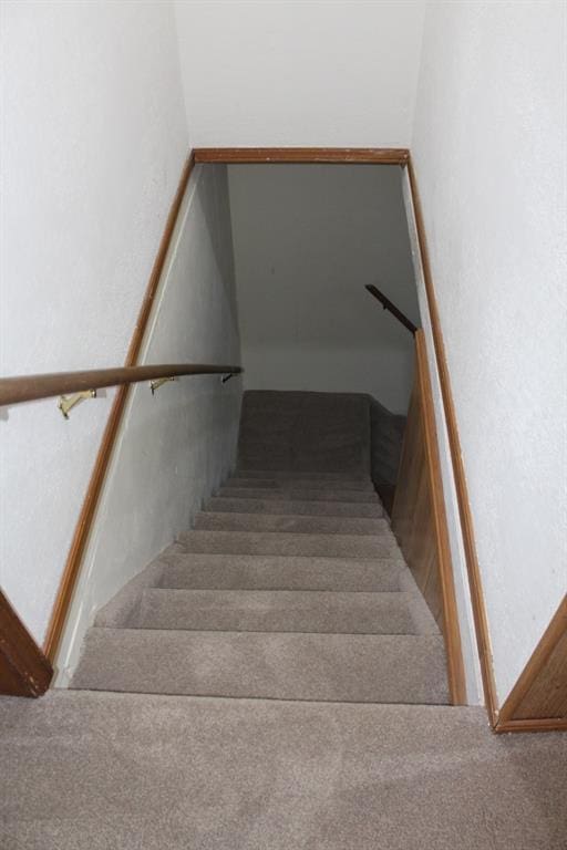 stairway with carpet