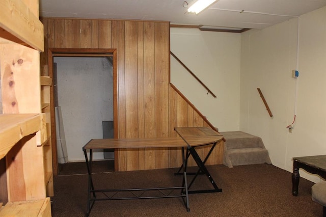 miscellaneous room with dark colored carpet and wood walls