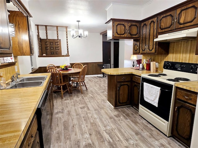 kitchen with electric stove, sink, hanging light fixtures, light hardwood / wood-style flooring, and a chandelier