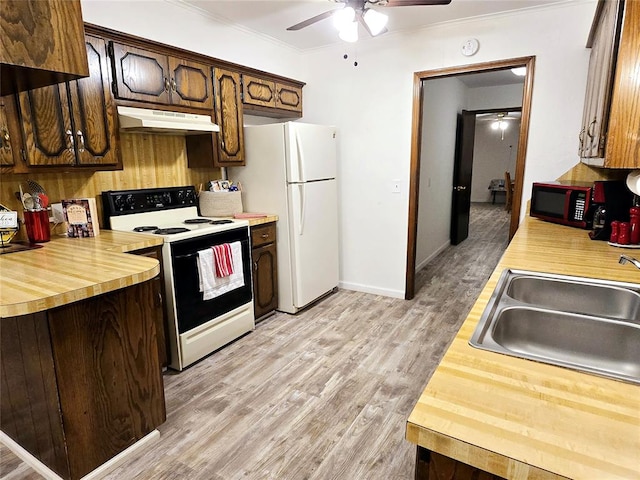 kitchen featuring dark brown cabinetry, sink, light hardwood / wood-style floors, white appliances, and ornamental molding