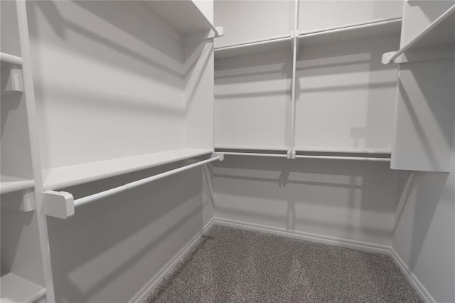 14001 Birch Ln, Edmond, OK 73049 - walk in closet featuring carpet floors