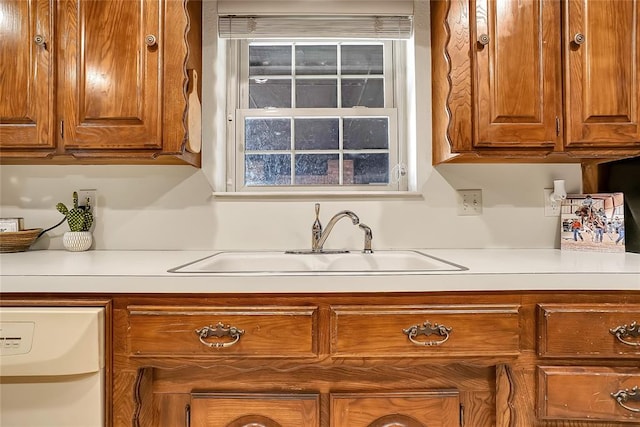 kitchen with dishwasher and sink