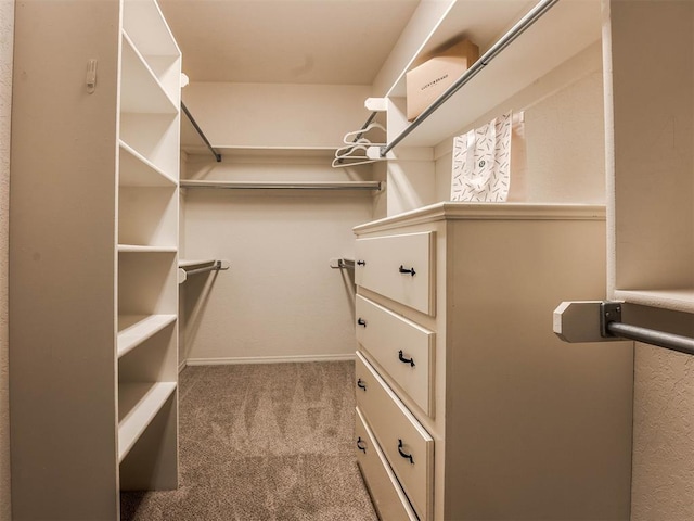 walk in closet featuring light colored carpet