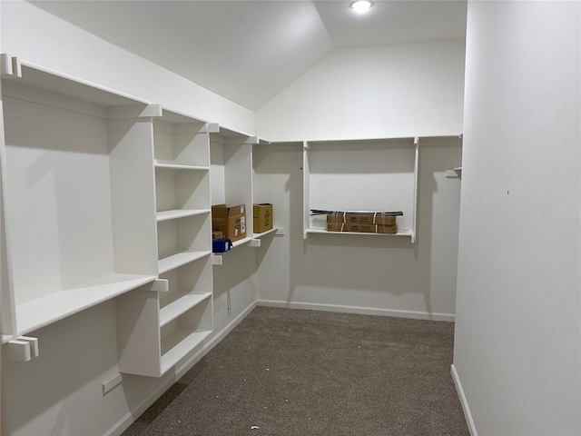 spacious closet featuring dark colored carpet and vaulted ceiling