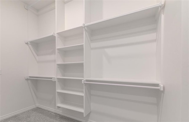 spacious closet with carpet