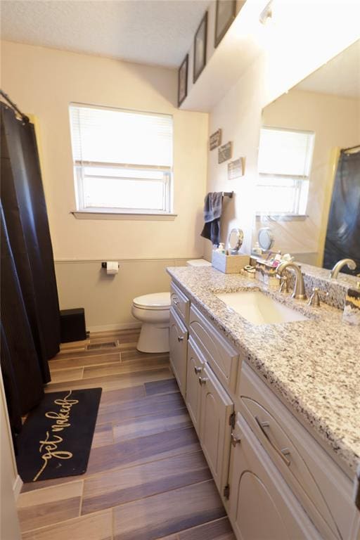 bathroom featuring hardwood / wood-style flooring, vanity, and toilet