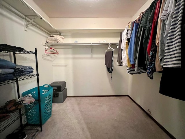 spacious closet featuring carpet