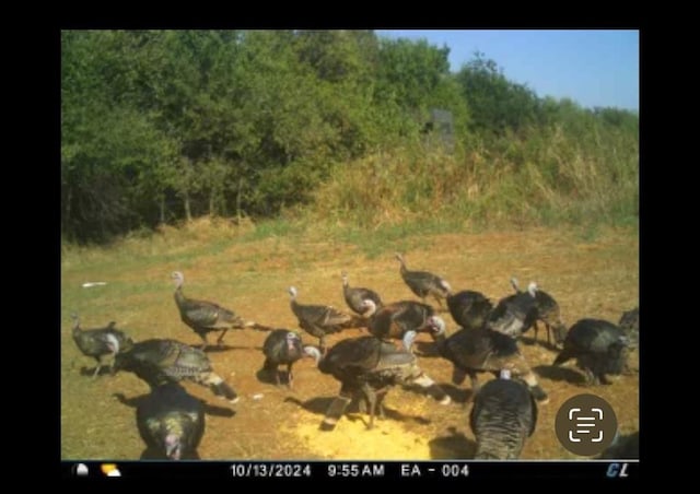 372 County Road 1140, Minco, OK 73059 - photo 40