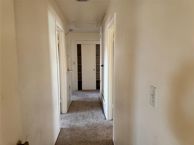 corridor with light colored carpet