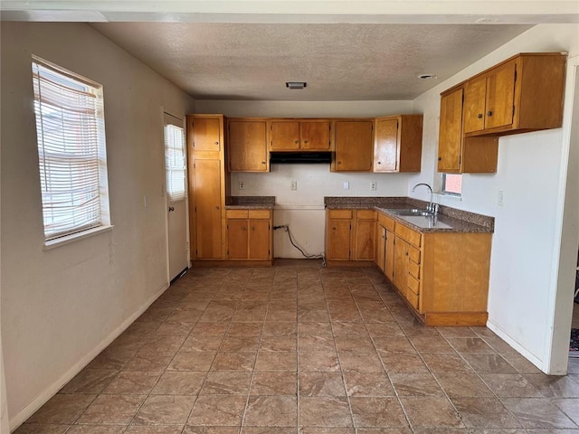 kitchen featuring sink