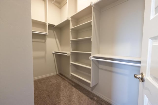 16025 Coneflower Dr, Edmond, OK 73013 - spacious closet featuring carpet floors