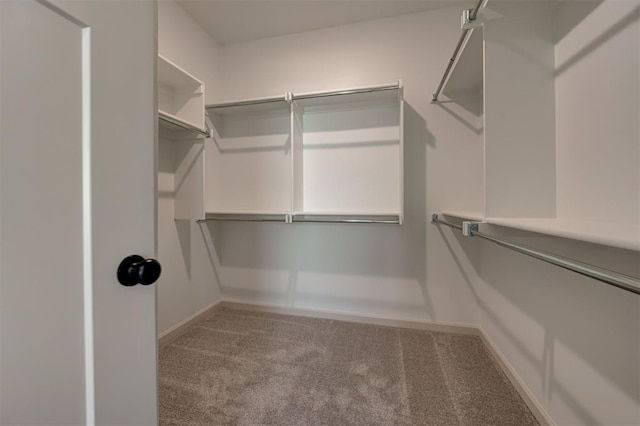 spacious closet with carpet flooring