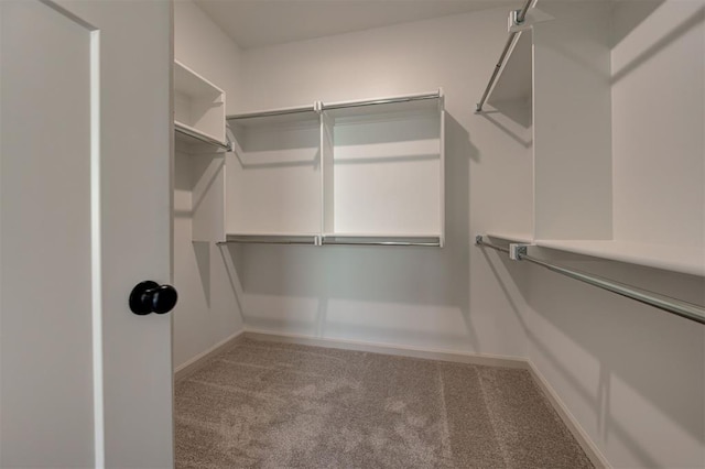 2216 Los Angeles Ave, Edmond, OK 73034 - walk in closet with carpet flooring
