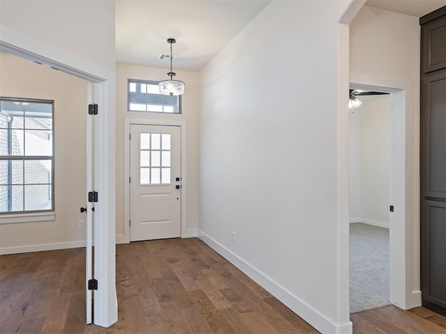 entryway featuring hardwood / wood-style flooring, a wealth of natural light, and ceiling fan