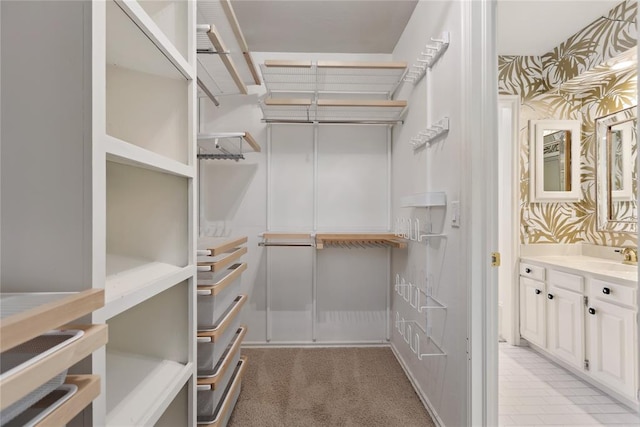 walk in closet with light carpet