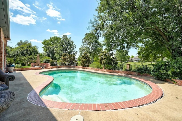 view of swimming pool with a patio