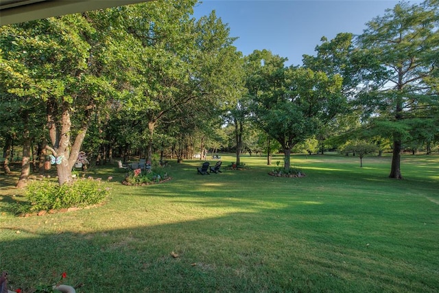 view of home's community featuring a yard