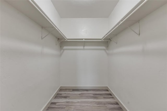 walk in closet featuring light wood-type flooring