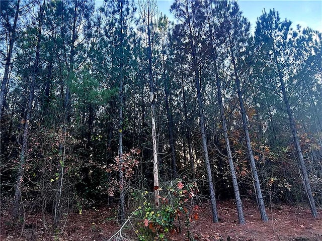 160 Red Fern Trl Lot 38, Broken Bow OK, 74728 land for sale