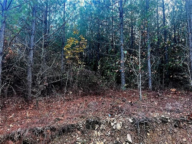 Listing photo 3 for 160 Red Fern Trl Lot 38, Broken Bow OK 74728