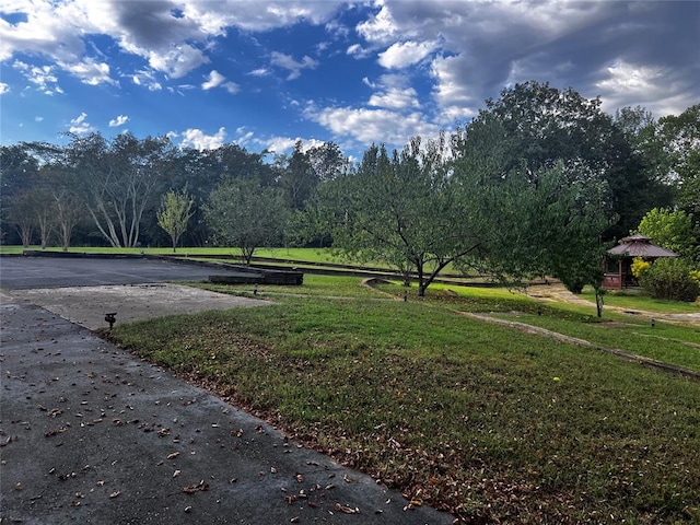 view of community featuring a yard