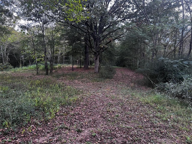 view of local wilderness